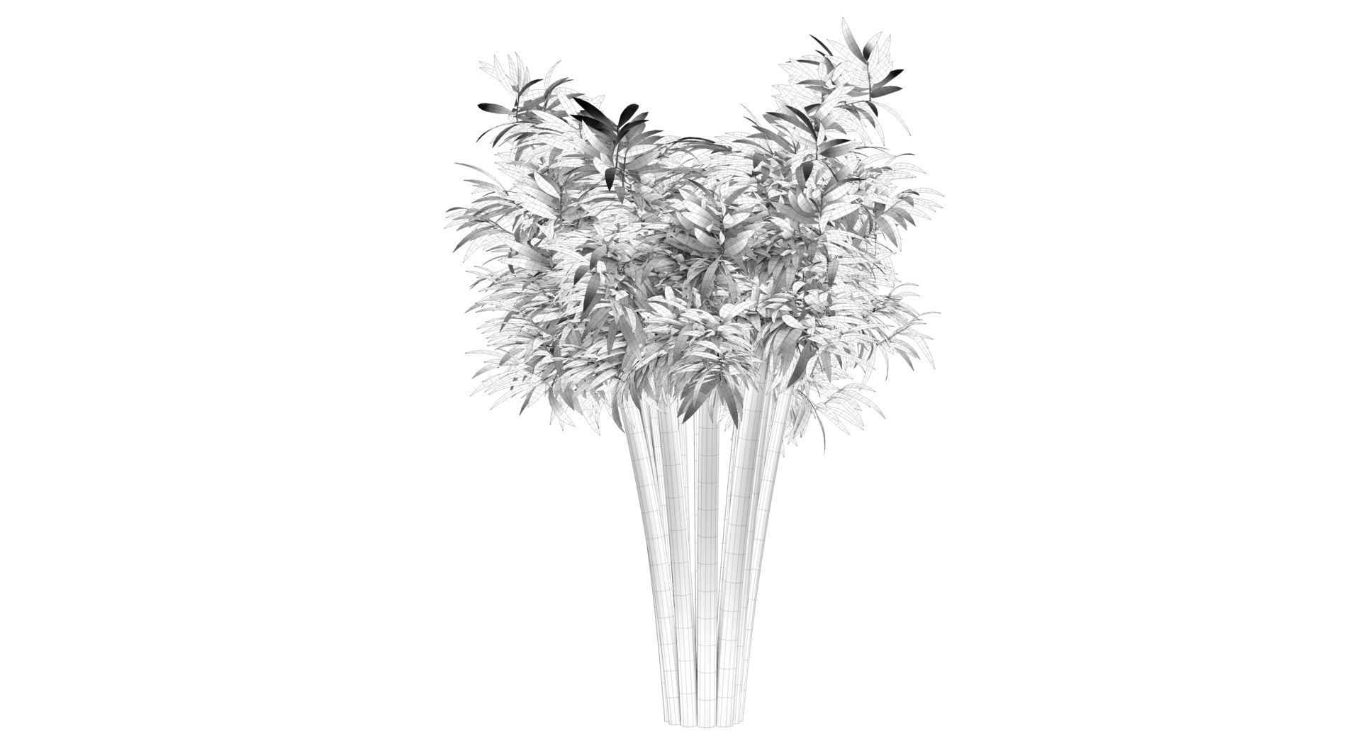Bamboo plant 3D model_9