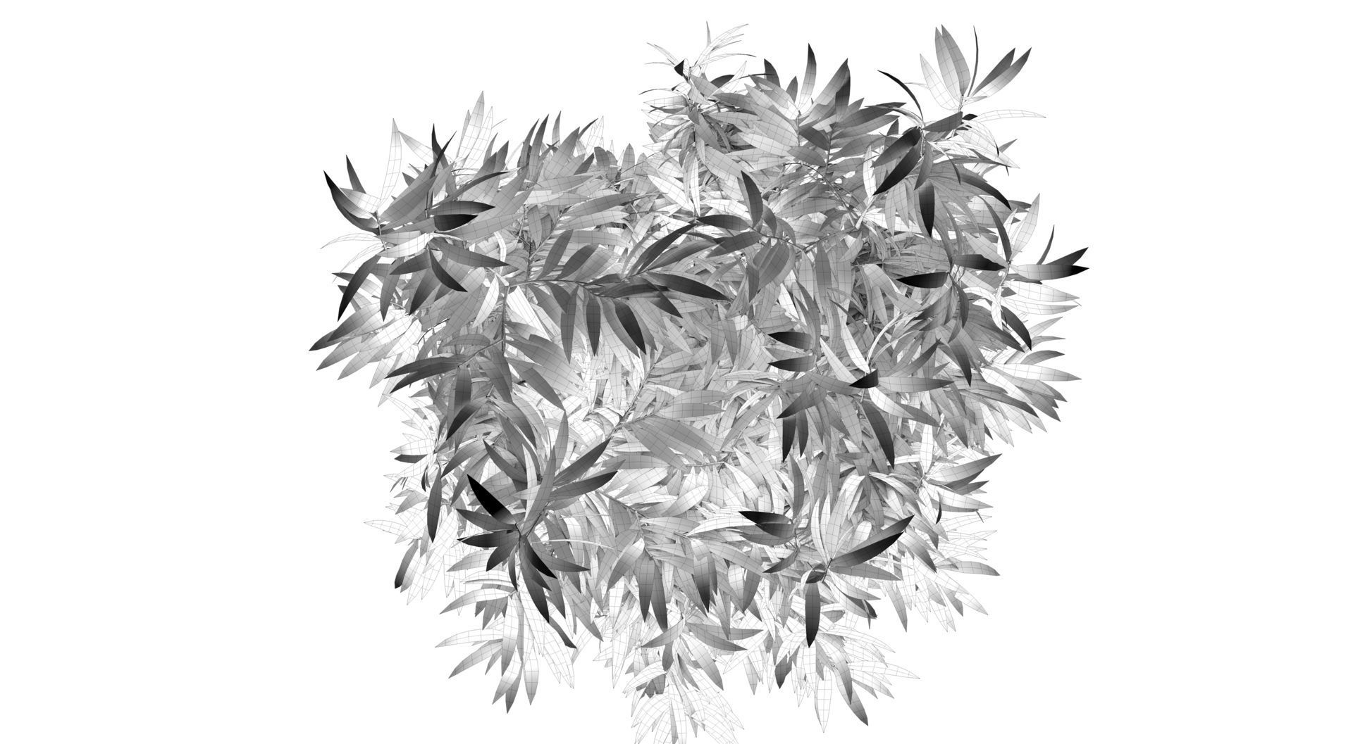 Bamboo plant 3D model_14