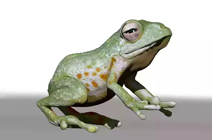 Realistic Frog Sculpt - ZTL Model
