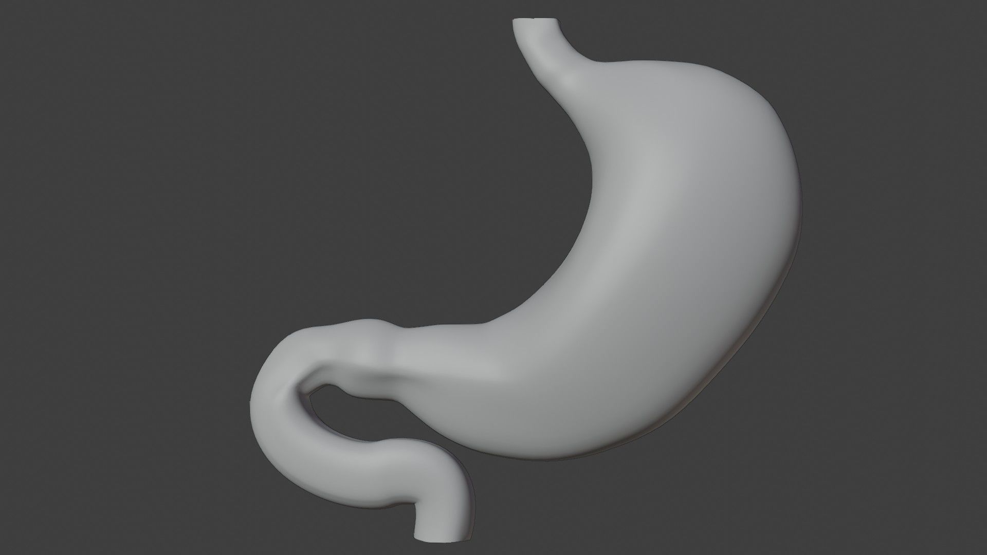 Stomach 4 Low-poly 3D model_7