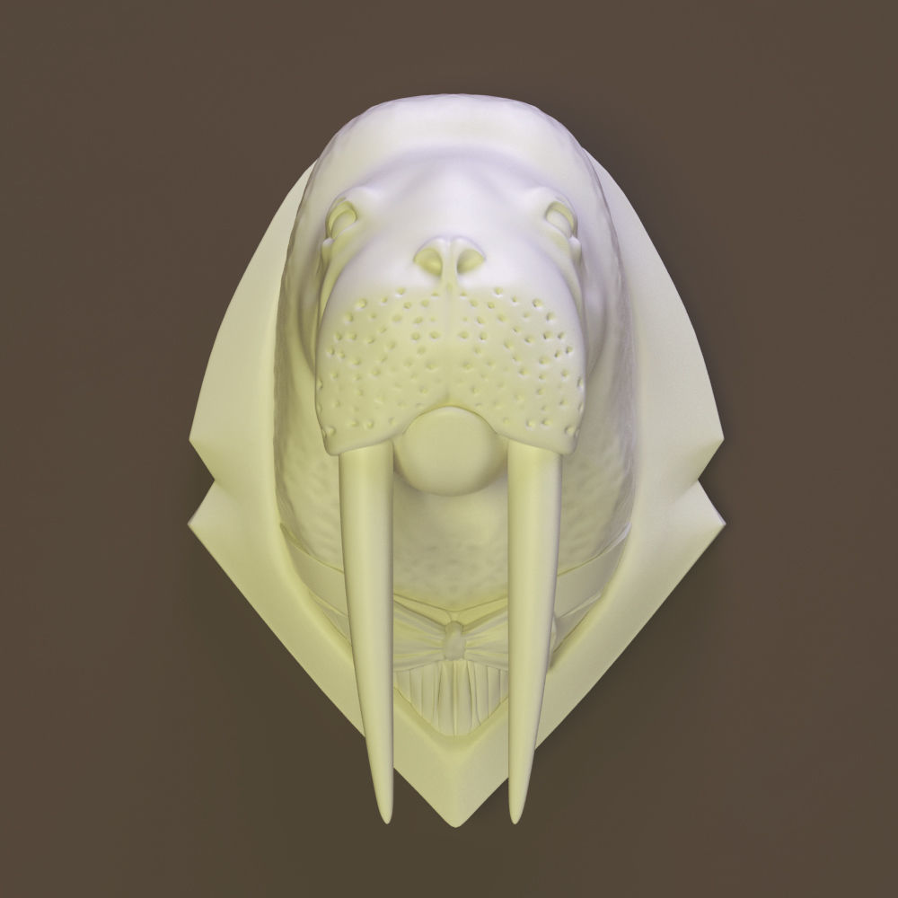 Walrus head 3D model_2