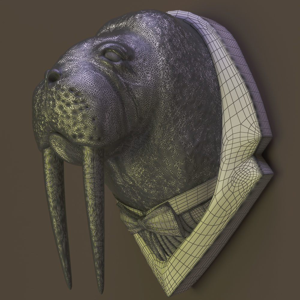 Walrus head 3D model_4