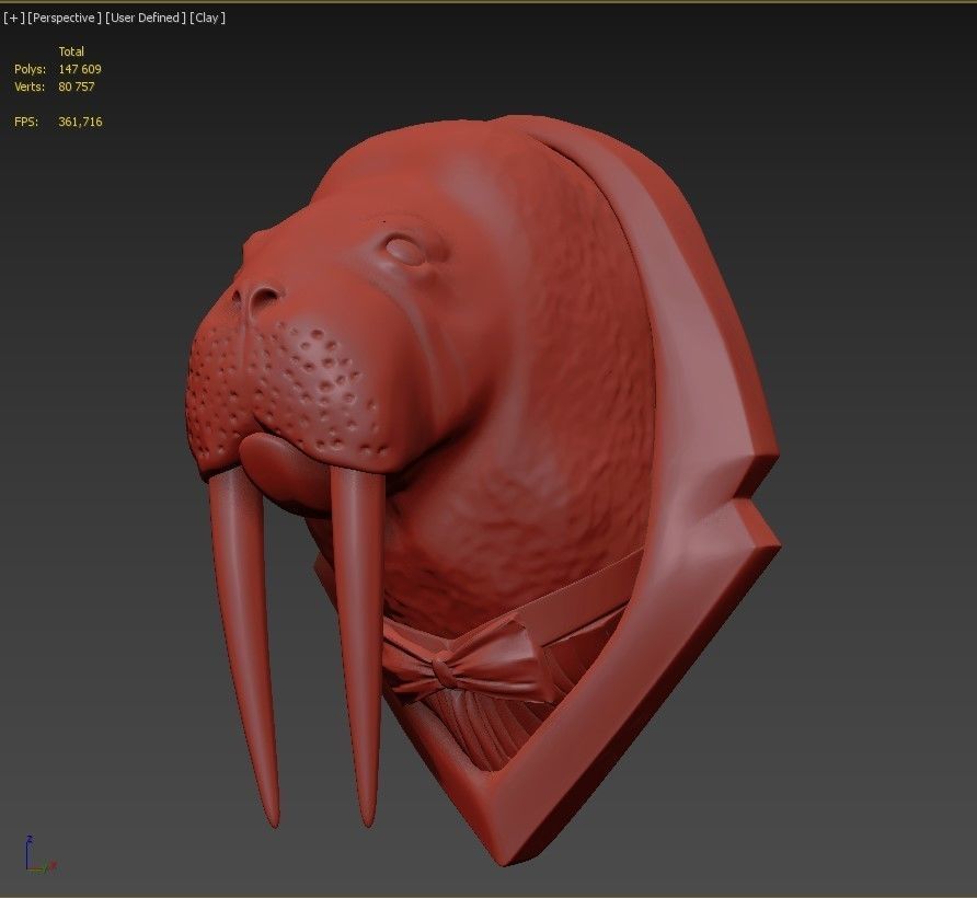 Walrus head 3D model_3