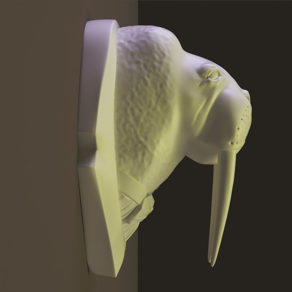 Walrus head 3D model_1