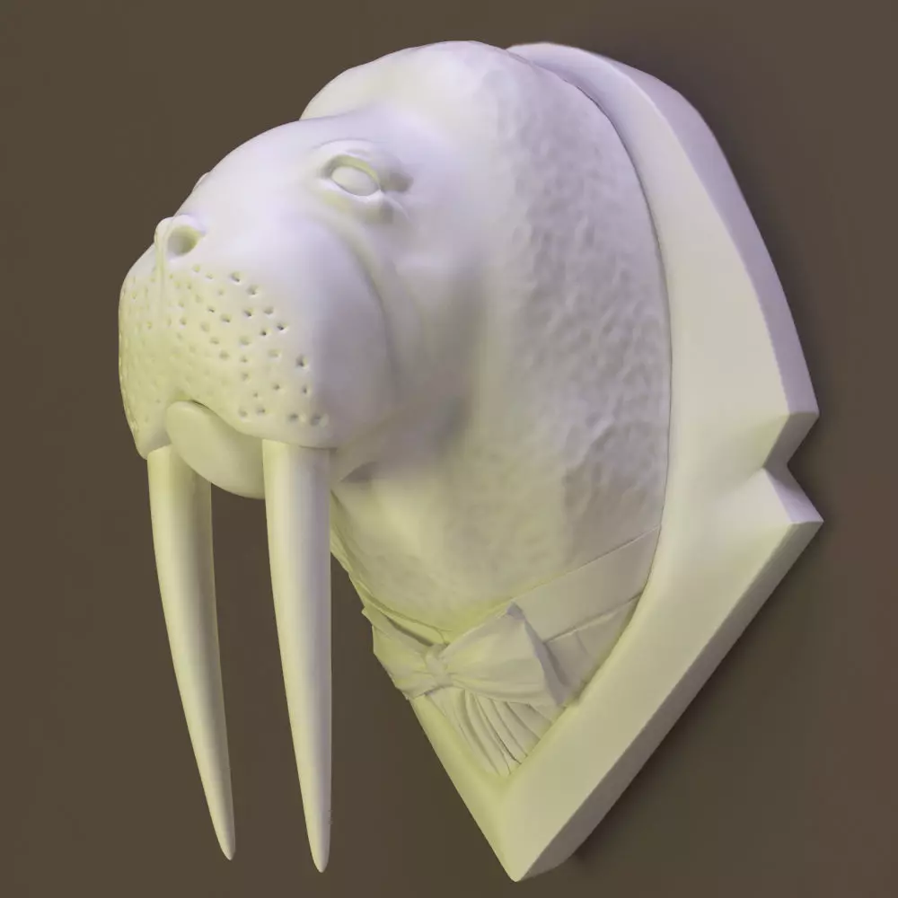 Walrus head 3D model_0