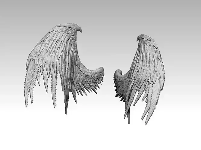 fallen angel wings