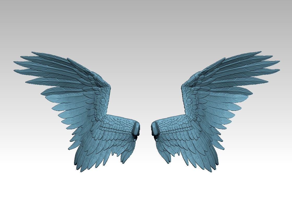 wing bird and angel 3D print model_4