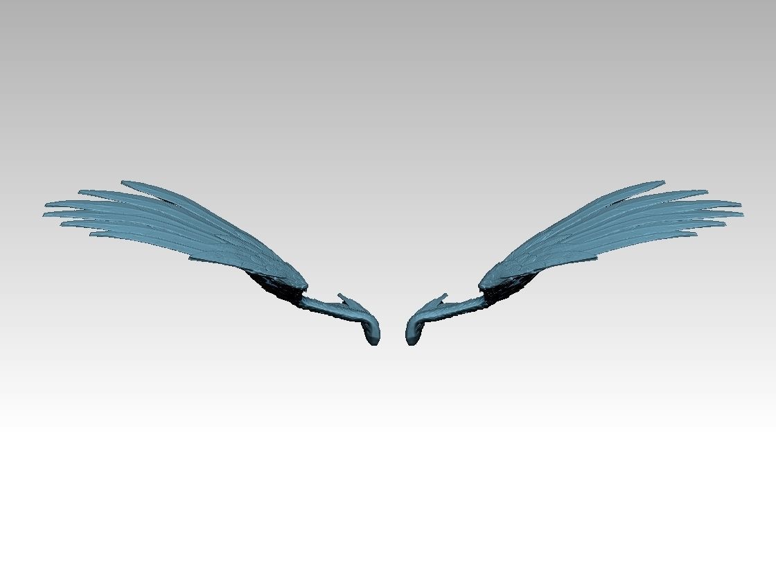 wing bird and angel 3D print model_5