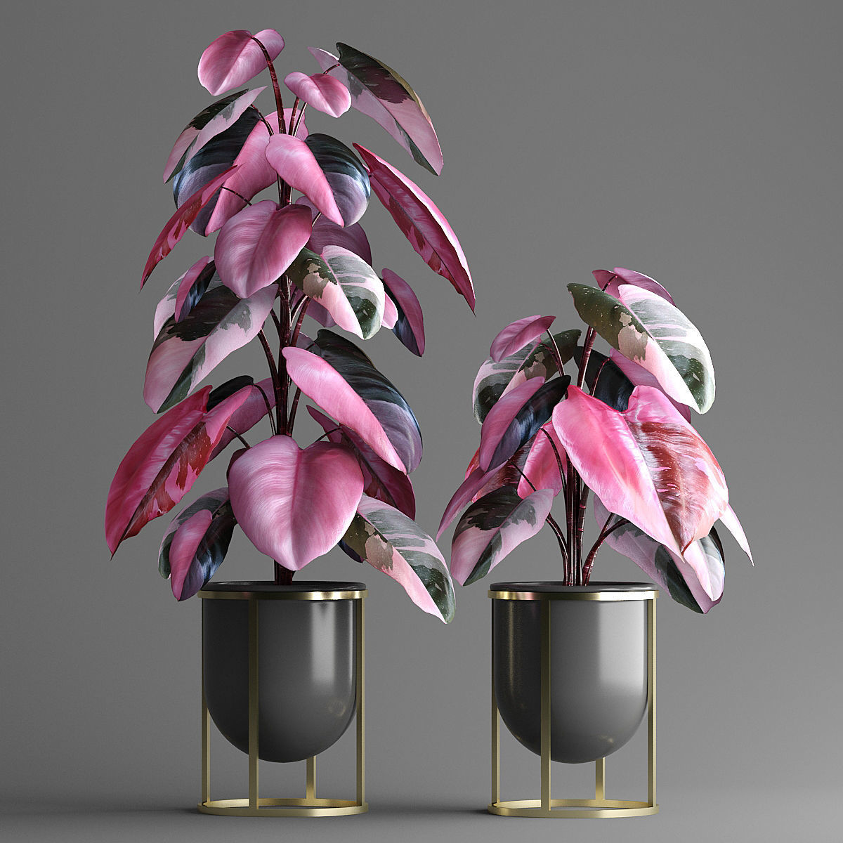 indoor plant set Low-poly 3D model_7