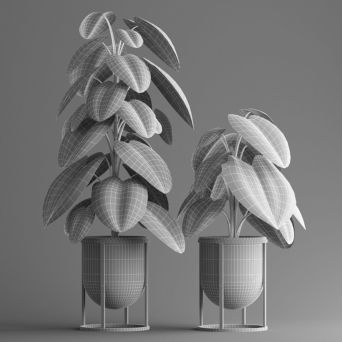 indoor plant set Low-poly 3D model_5