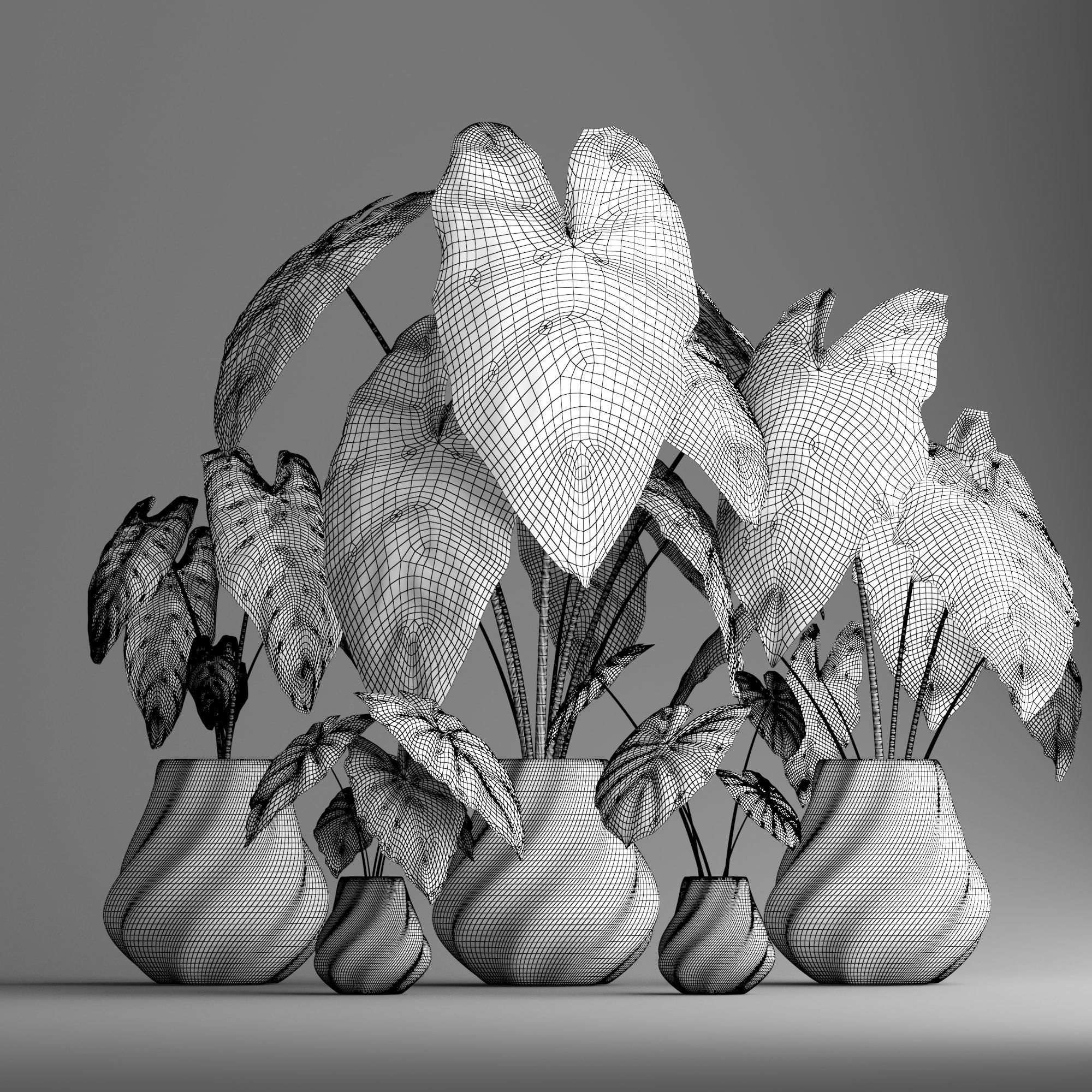 indoor plant set Low-poly 3D model_3