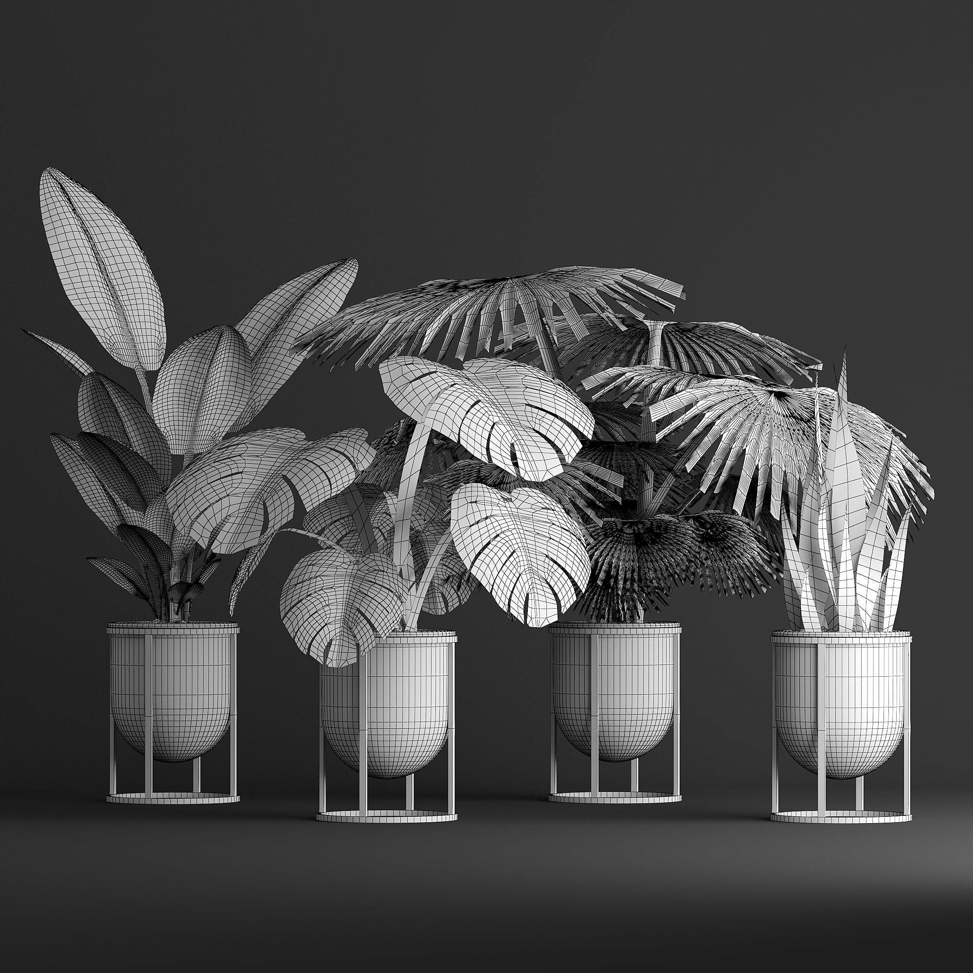 indoor plant set Low-poly 3D model_24
