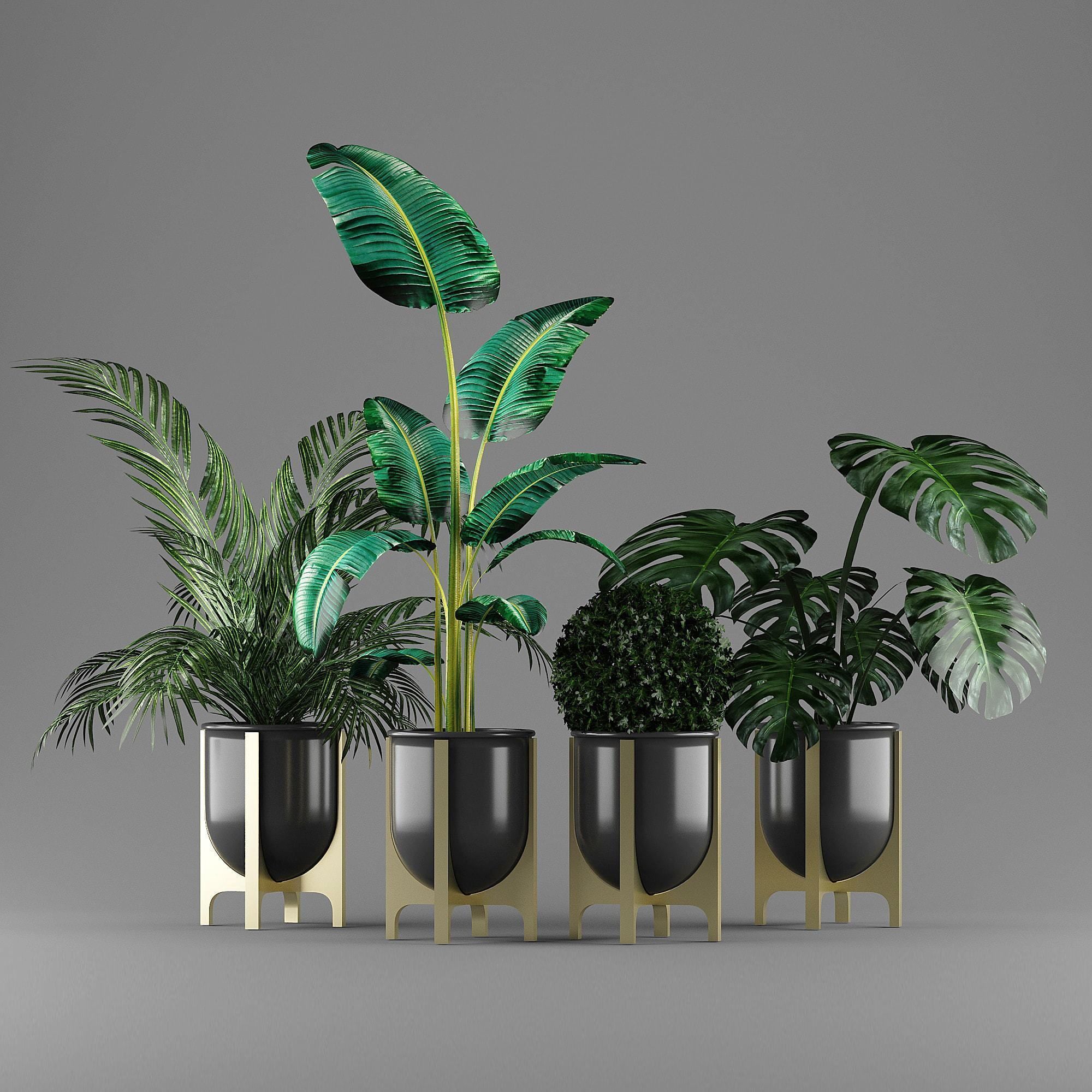 indoor plant set Low-poly 3D model_10
