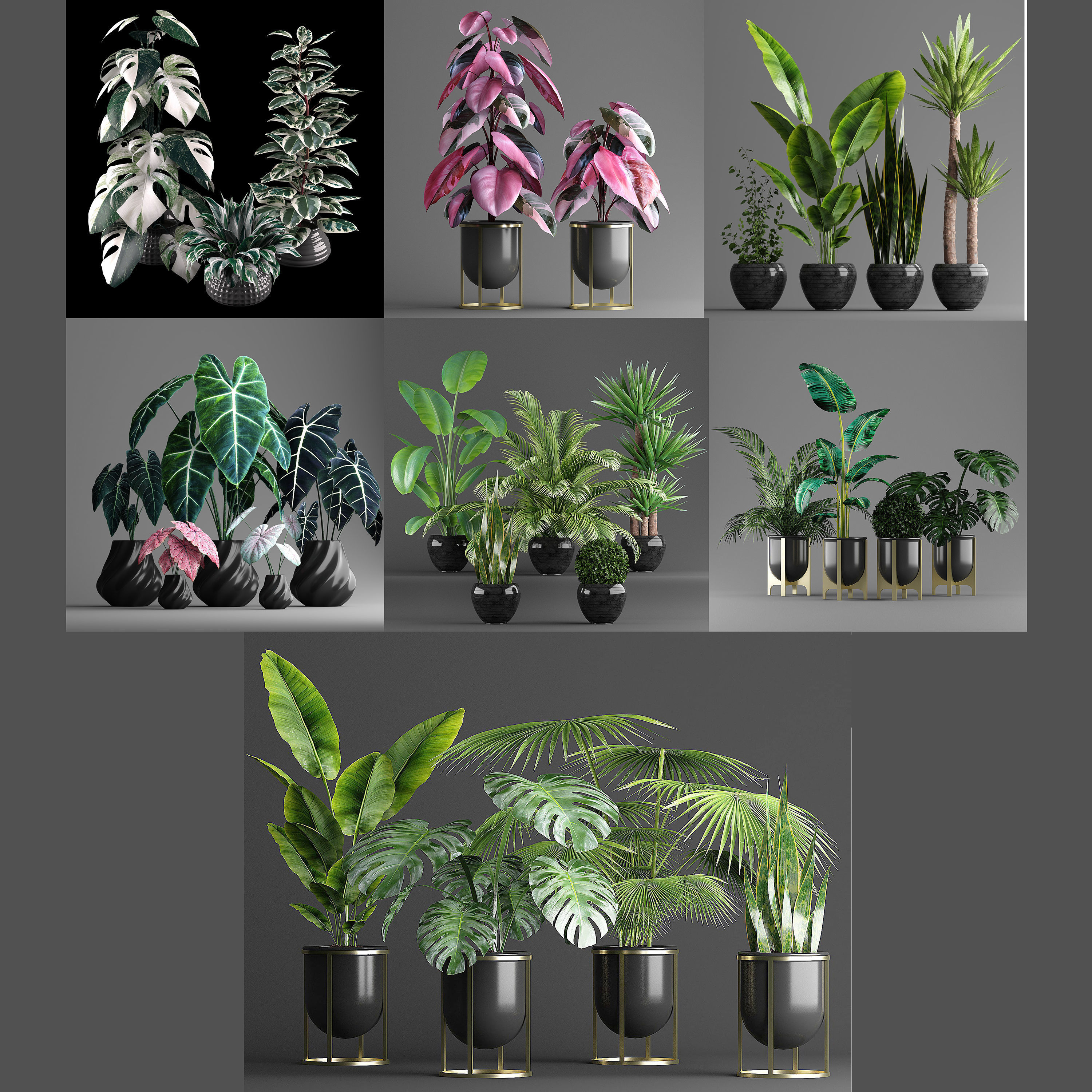 indoor plant set Low-poly 3D model_1