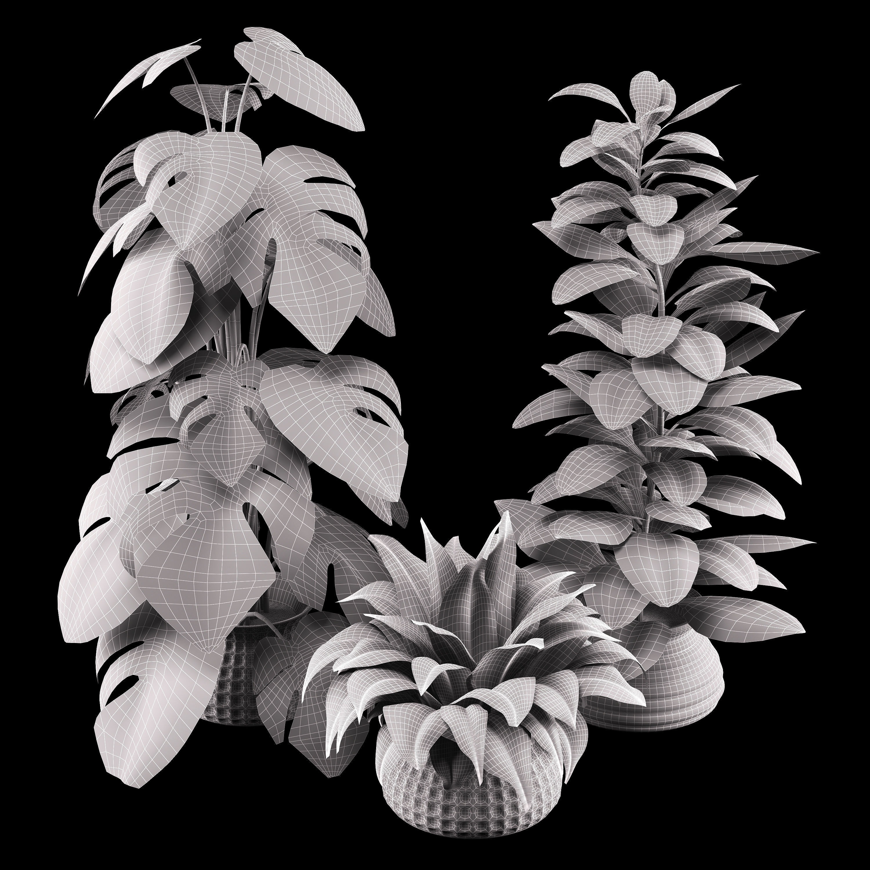 indoor plant set Low-poly 3D model_21