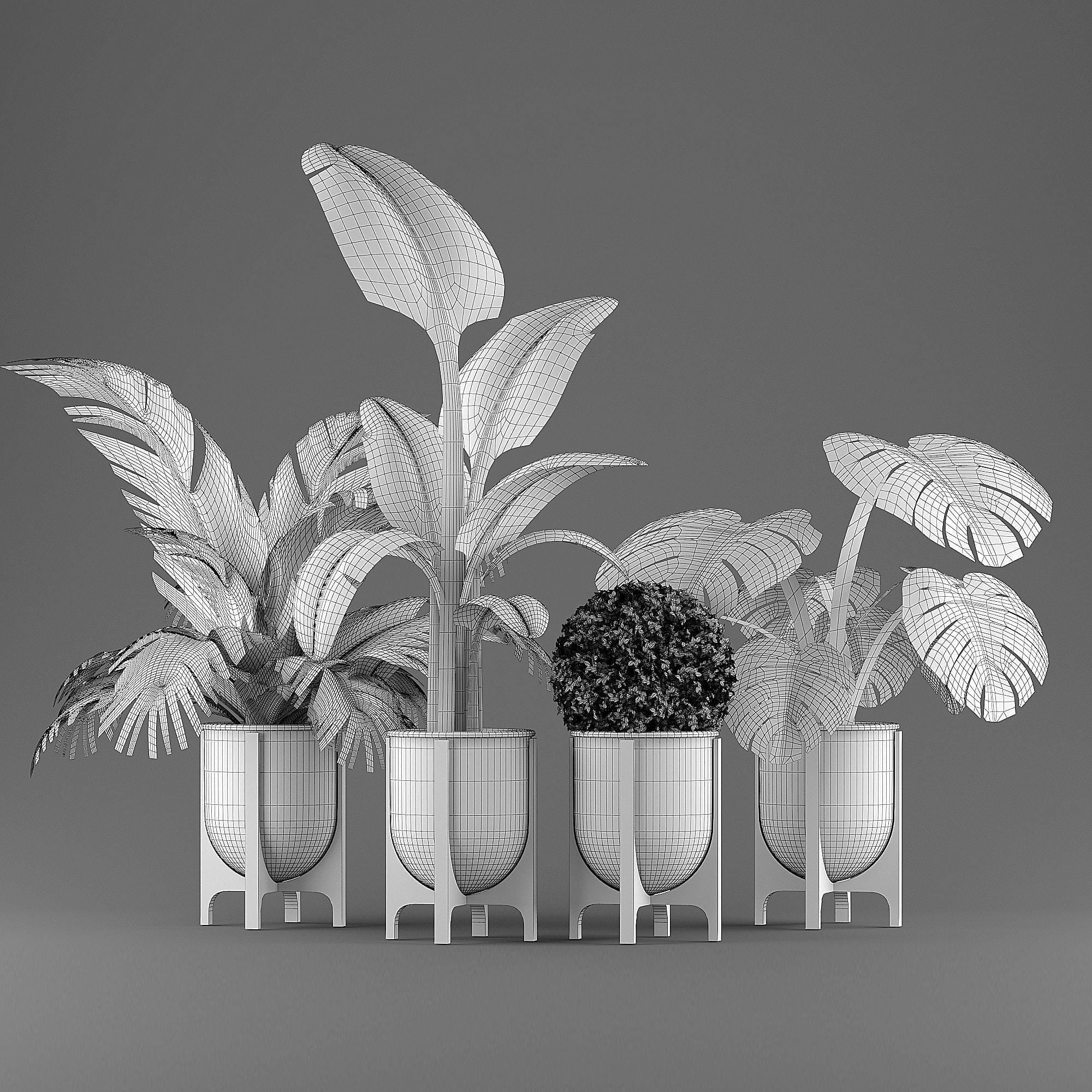 indoor plant set Low-poly 3D model_12