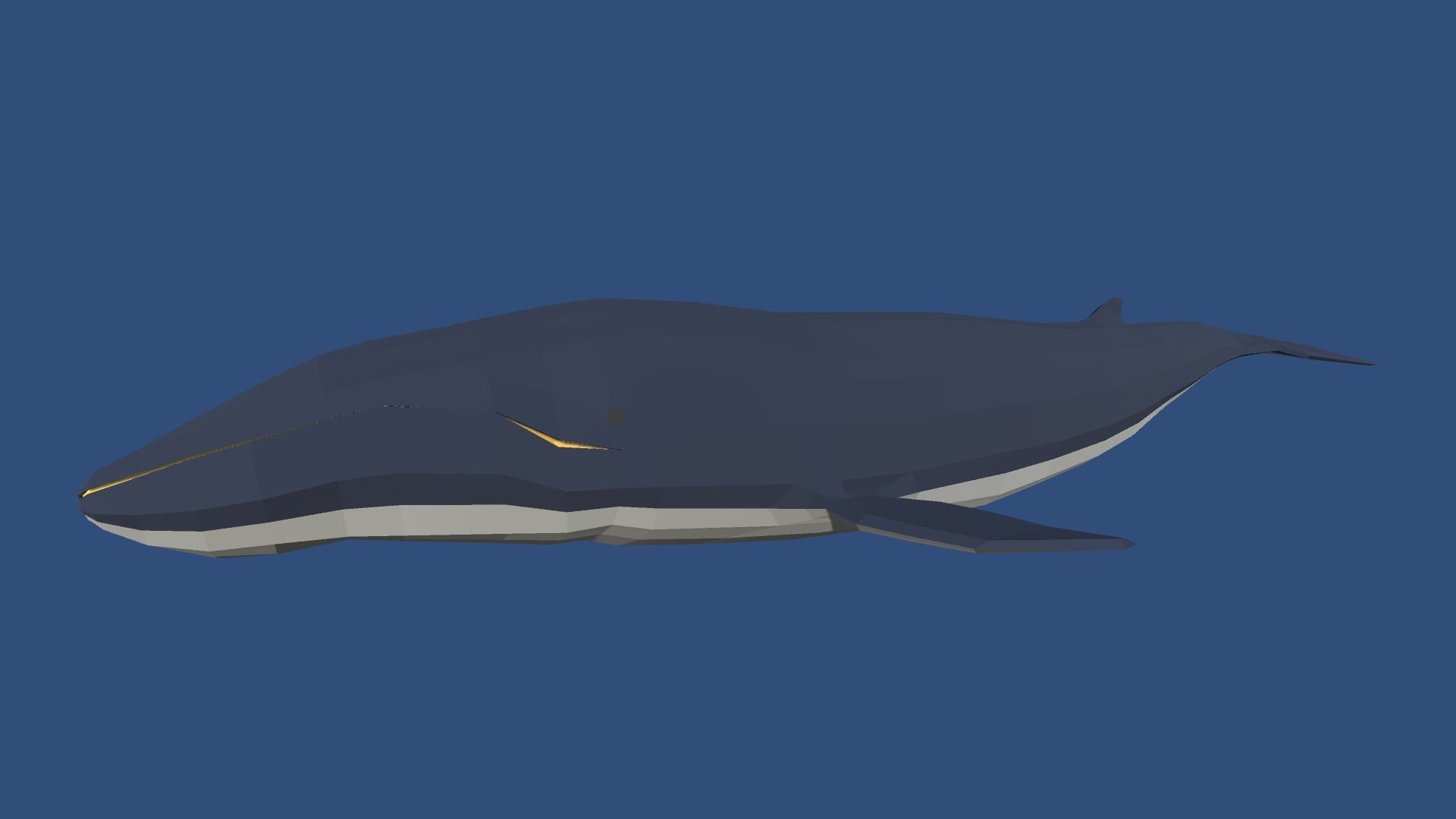 9t5 Low Poly Sea Creatures Low-poly 3D model_4