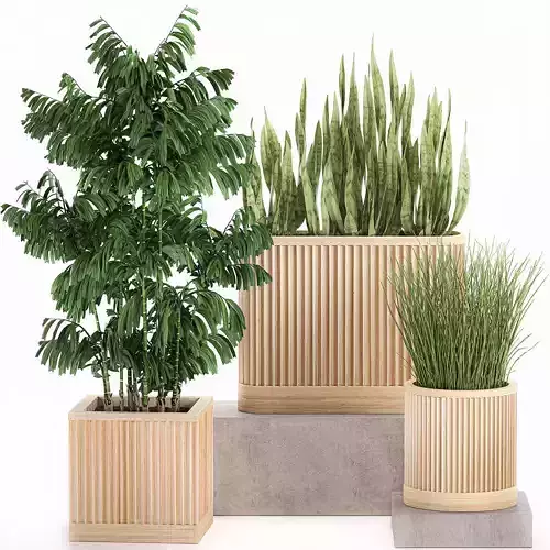 Decorative plants in a bamboo flowerpots 799 3D model