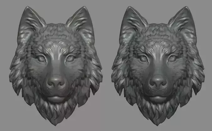 Wolf Head