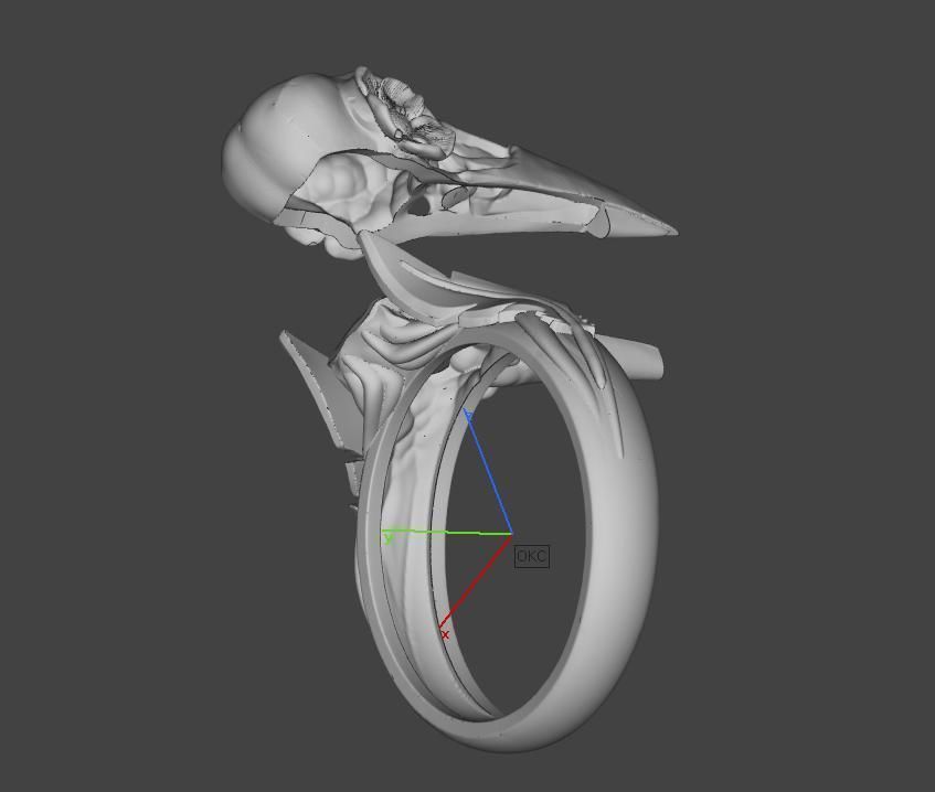 Skull crow ring 3D print model_6
