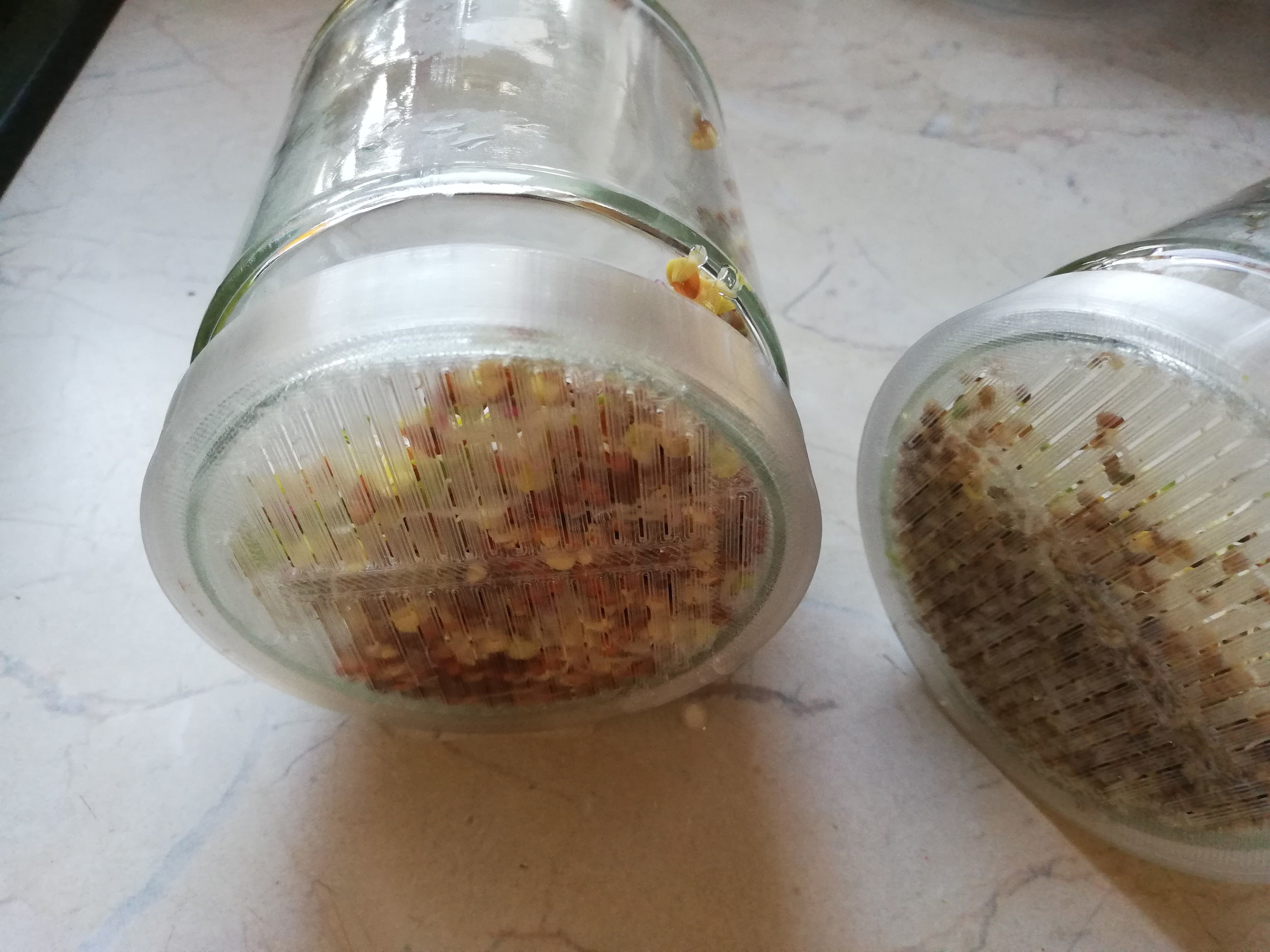 Cover for glasses with gaps 70 mm 3D print model_8