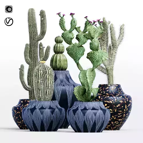 Cactus collection 001 flower collection 5 plants in the scene 3D model