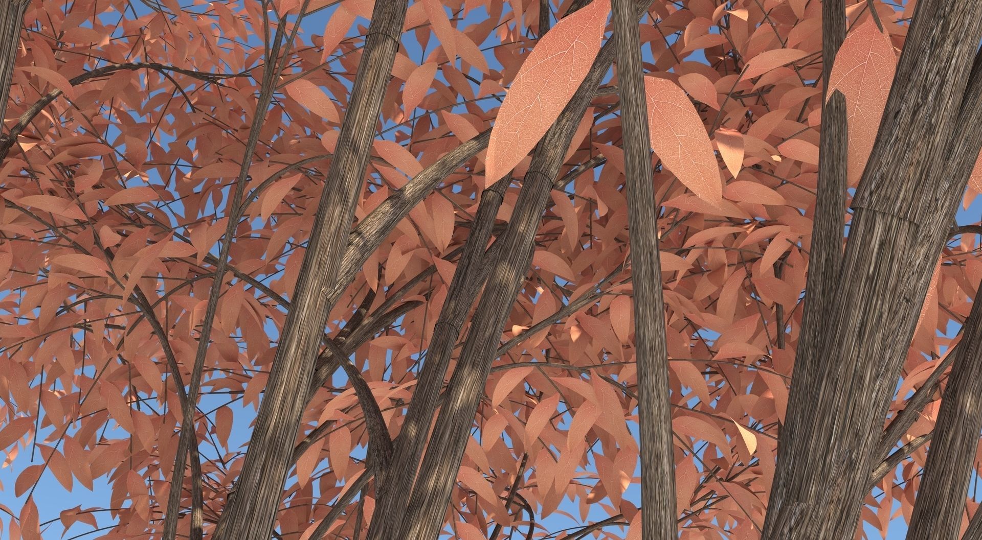 Barberri tree and Grass 3D model_6