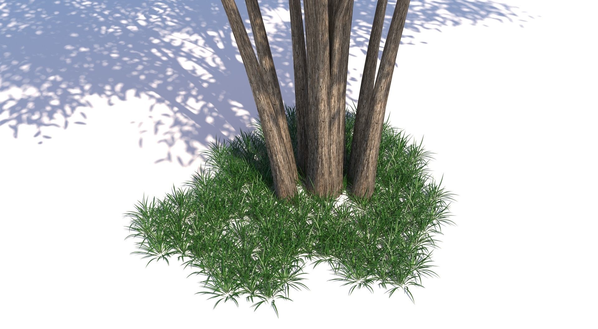 Barberri tree and Grass 3D model_9