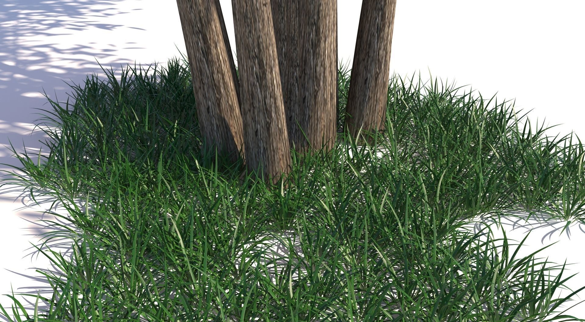 Barberri tree and Grass 3D model_10