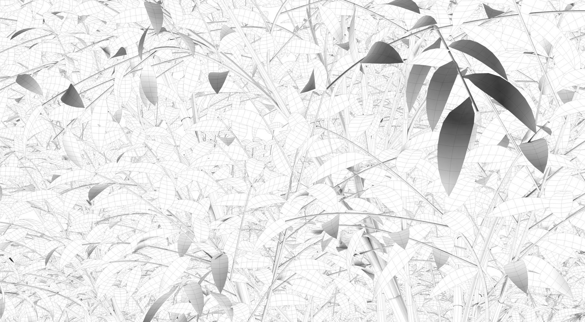 Barberri tree and Grass 3D model_15