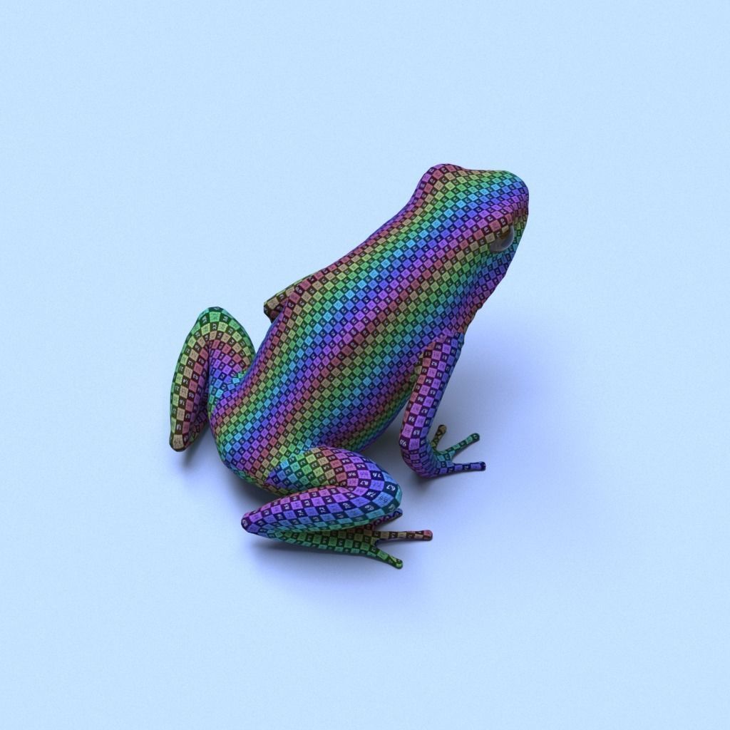 Splashback Poison Frog - Adelphobates galactonotus 3D model_26
