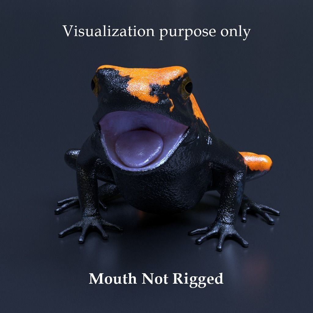 Splashback Poison Frog - Adelphobates galactonotus 3D model_3