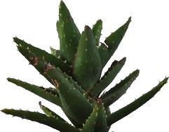 Lounge area Low-poly 3D model_4