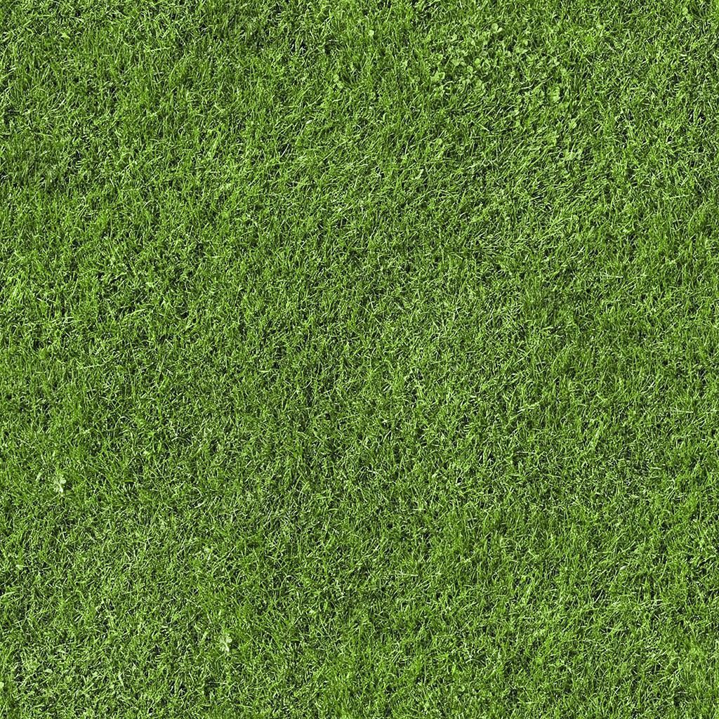 Lounge area Low-poly 3D model_34