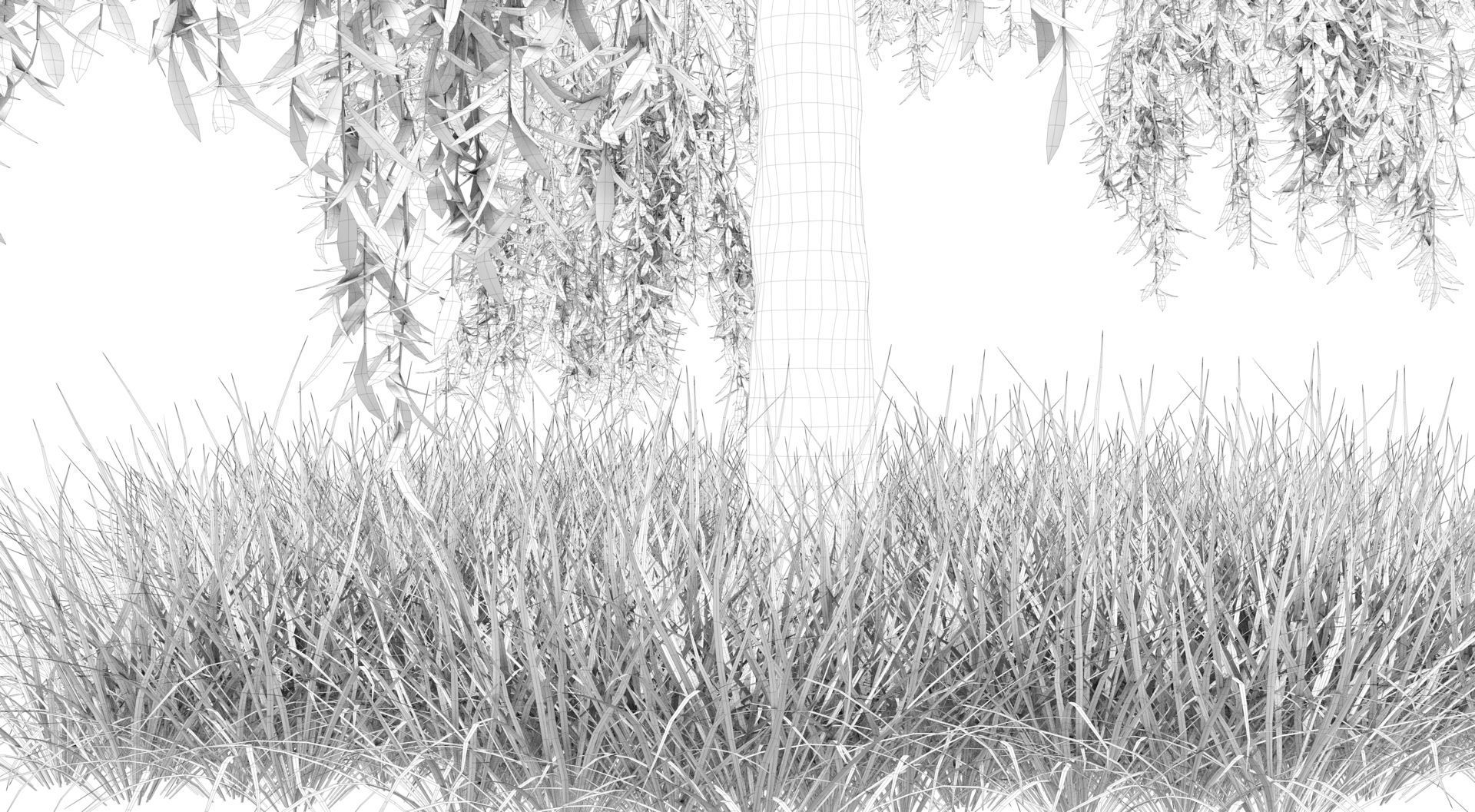 Birch Tree and Grass 3D model_12