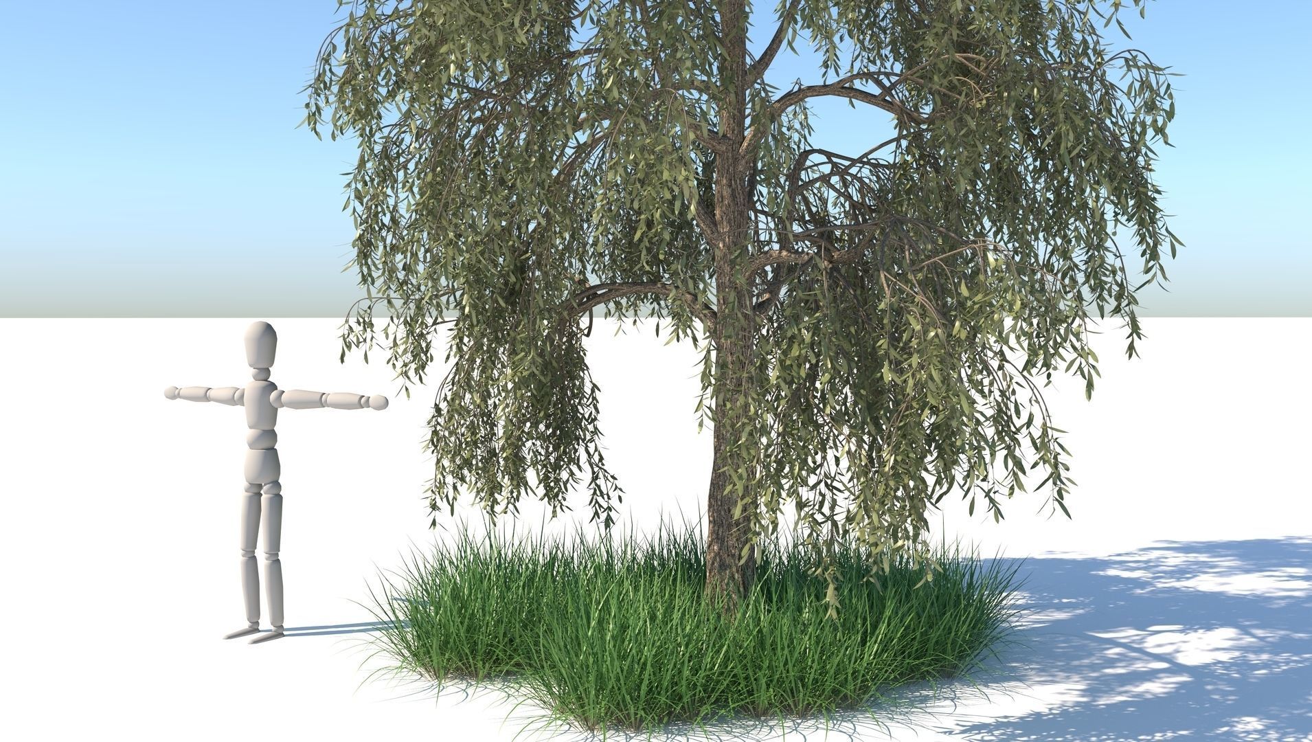 Birch Tree and Grass 3D model_5