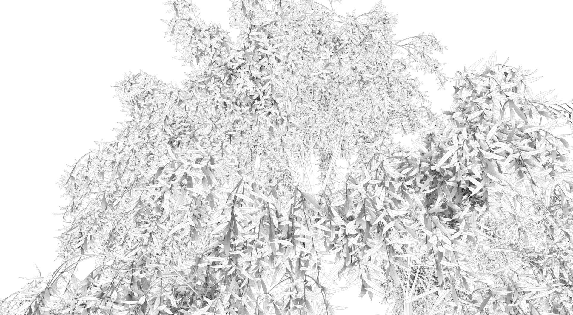 Birch Tree and Grass 3D model_13