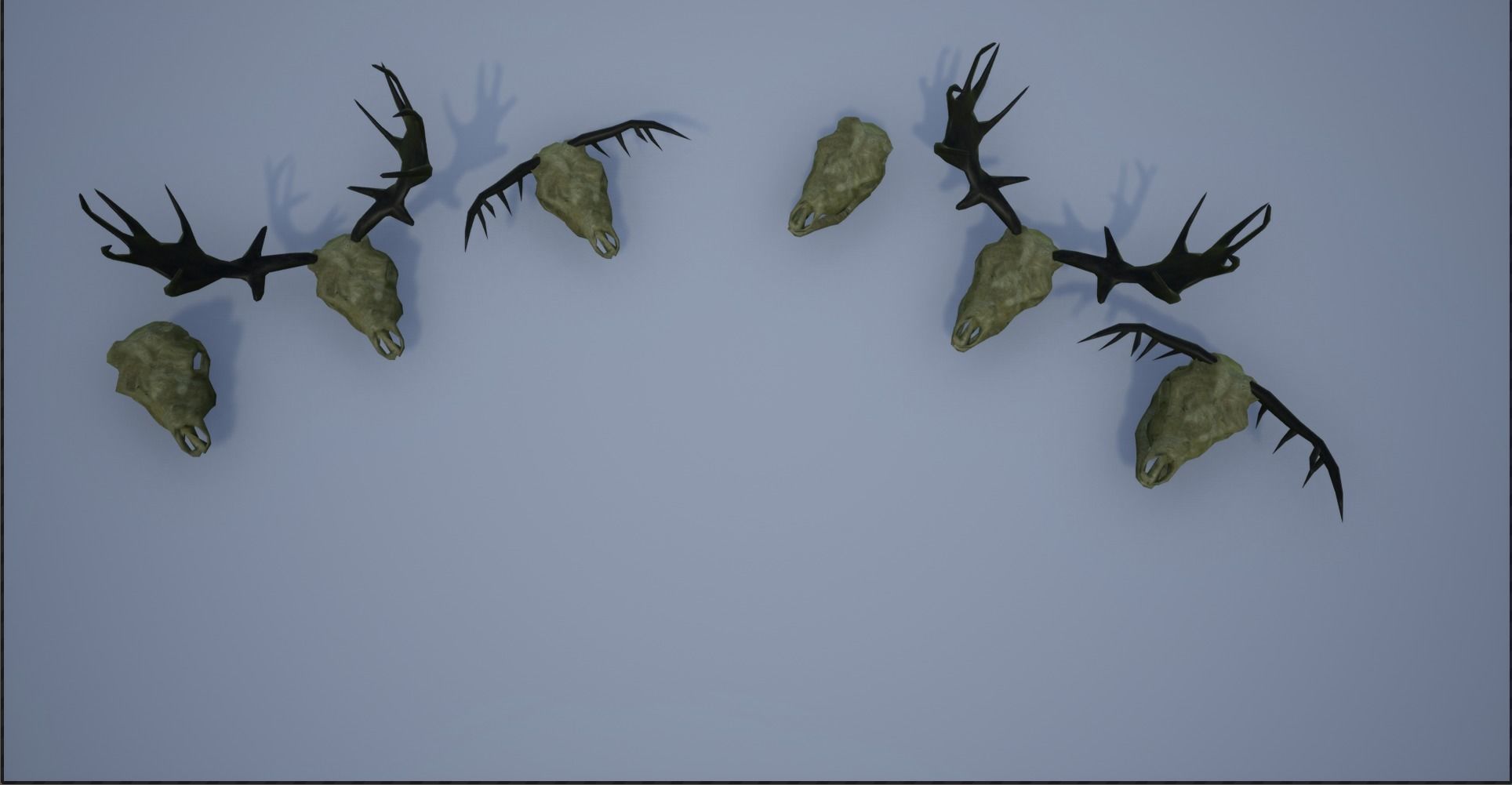 Animal Skulls and Antlers Low-poly 3D model_15