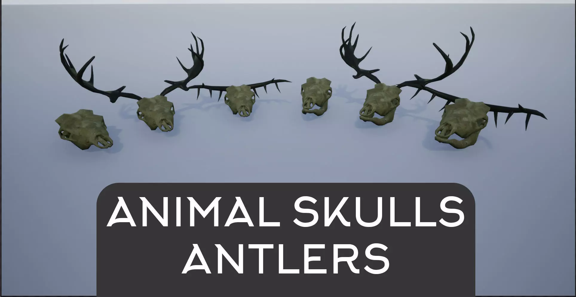 Animal Skulls and Antlers Low-poly 3D model_0