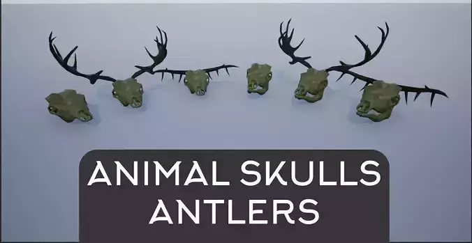 Animal Skulls and Antlers Low-poly 3D model