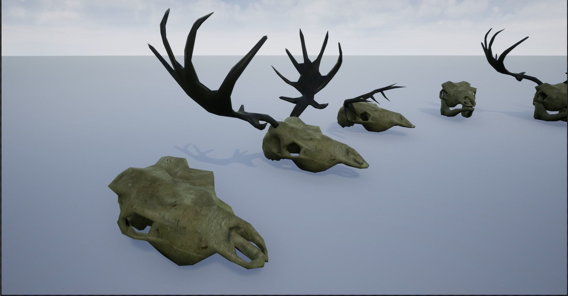 Animal Skulls and Antlers Low-poly 3D model_9