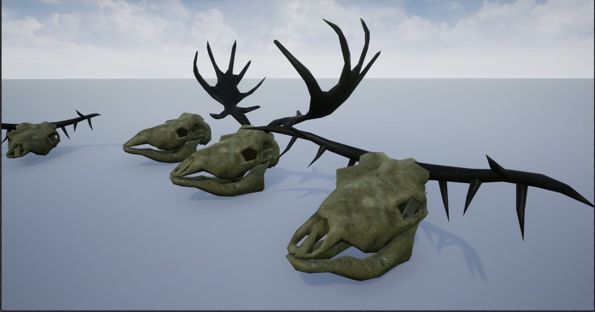 Animal Skulls and Antlers Low-poly 3D model_10