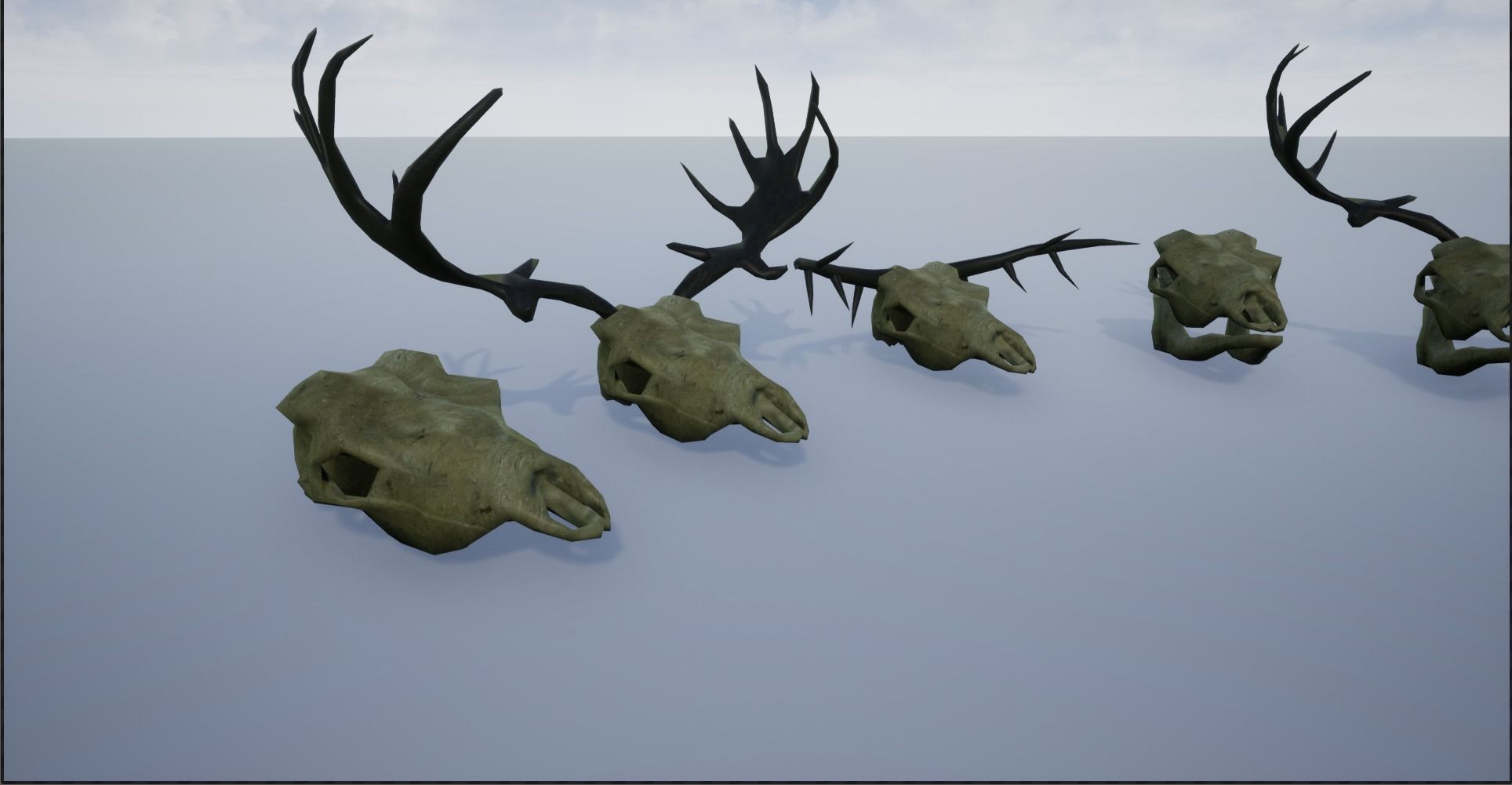 Animal Skulls and Antlers Low-poly 3D model_2