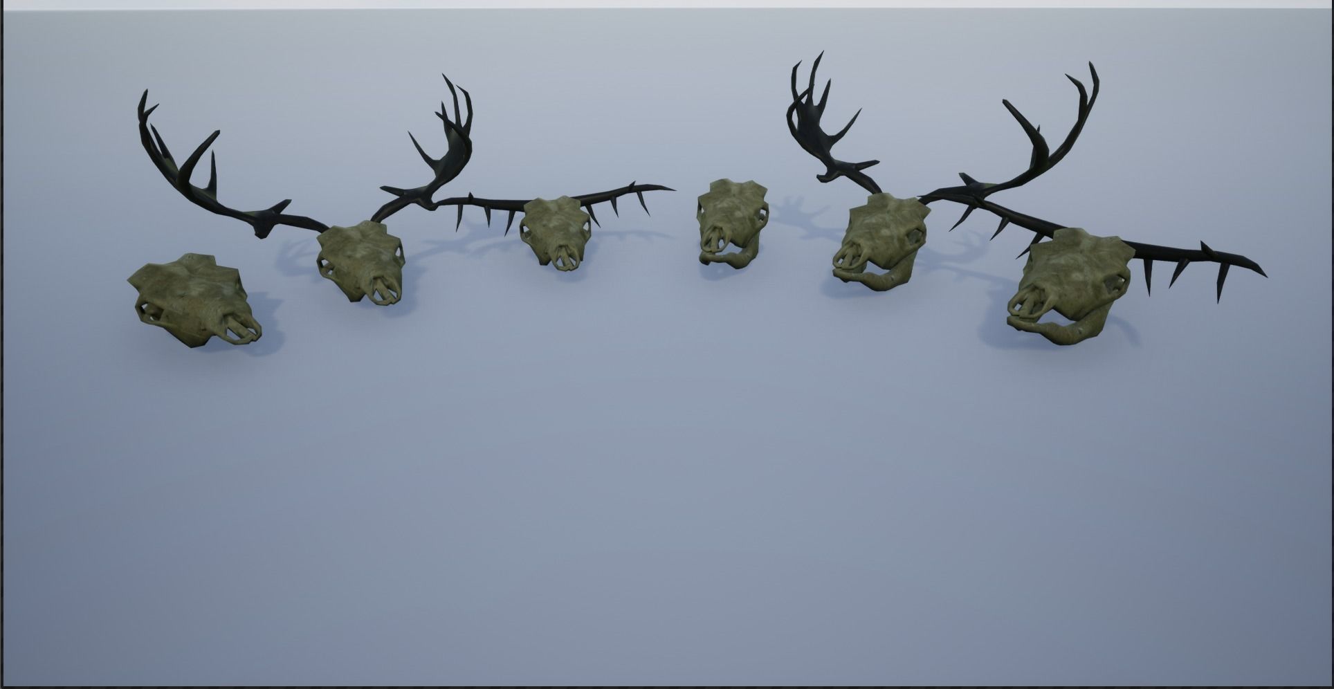 Animal Skulls and Antlers Low-poly 3D model_16