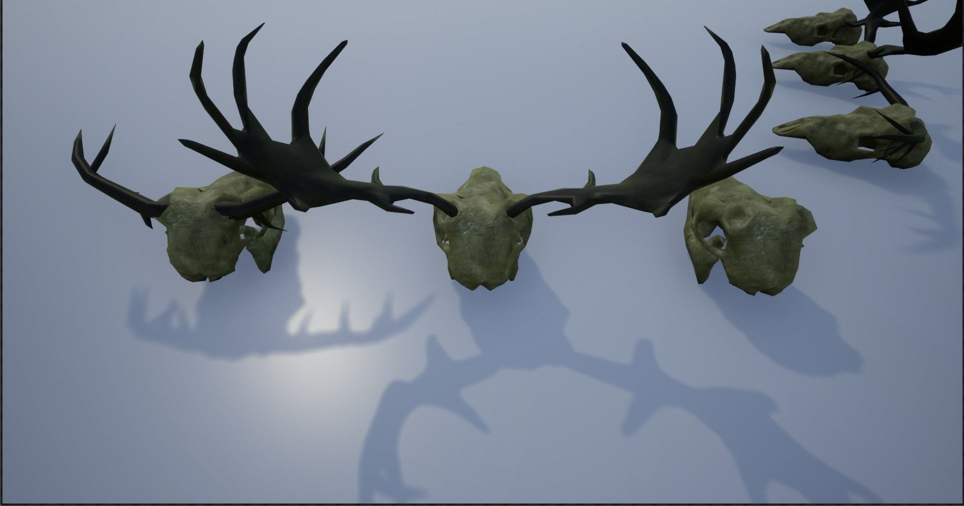 Animal Skulls and Antlers Low-poly 3D model_12
