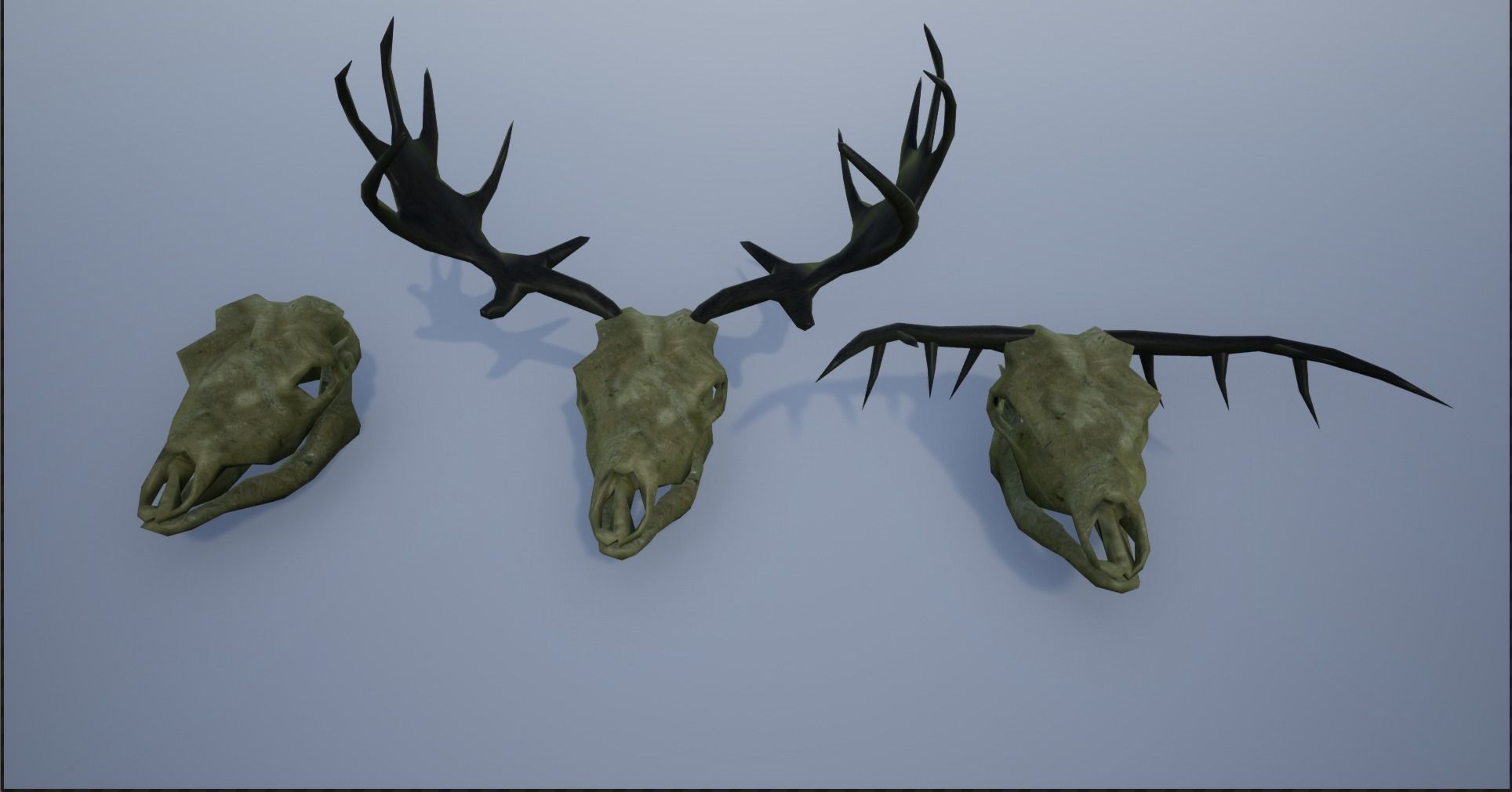 Animal Skulls and Antlers Low-poly 3D model_6