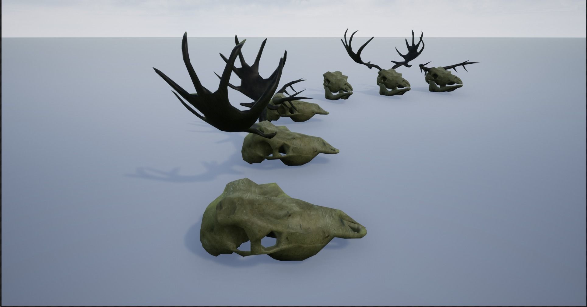 Animal Skulls and Antlers Low-poly 3D model_8