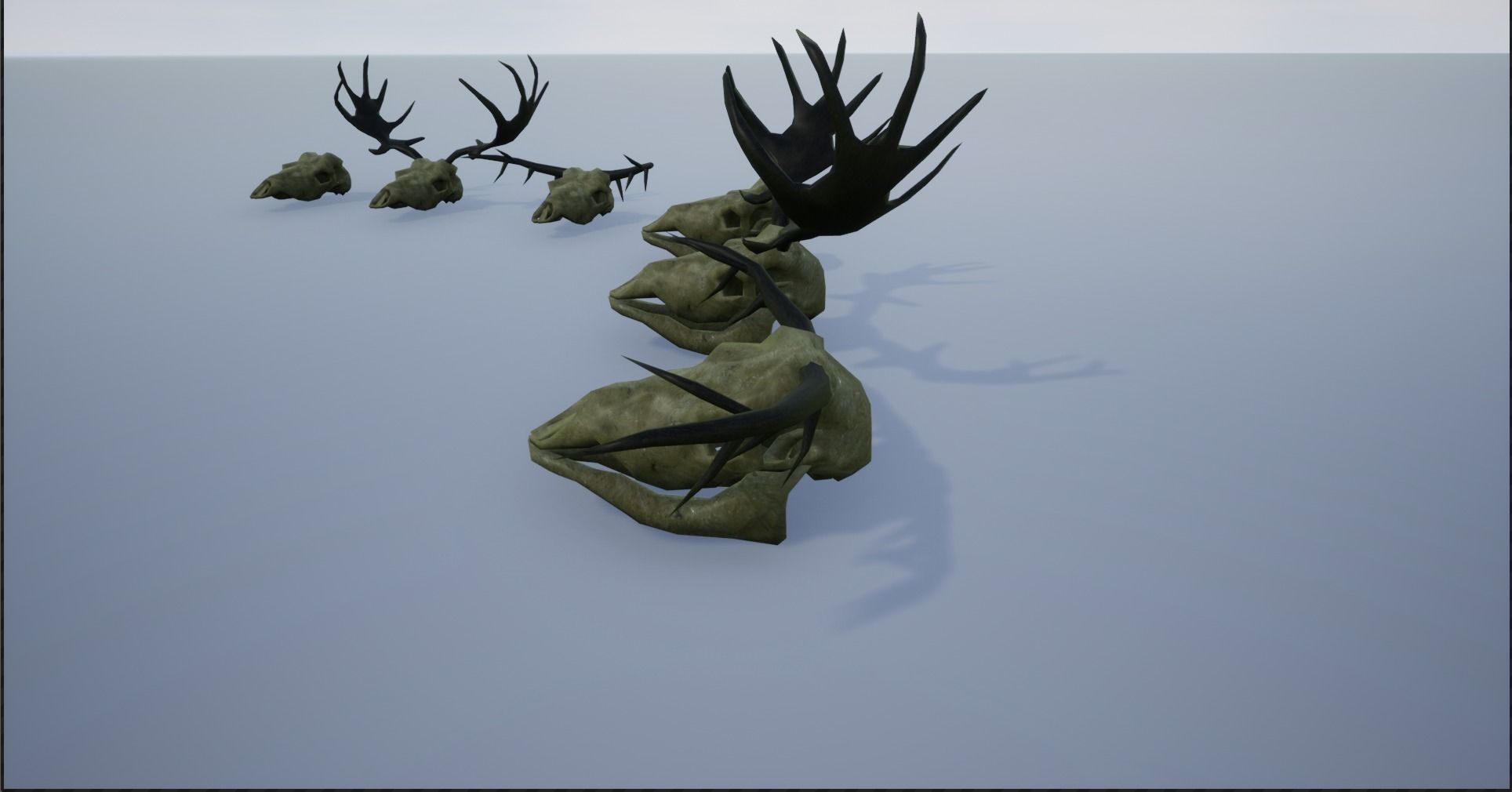 Animal Skulls and Antlers Low-poly 3D model_7