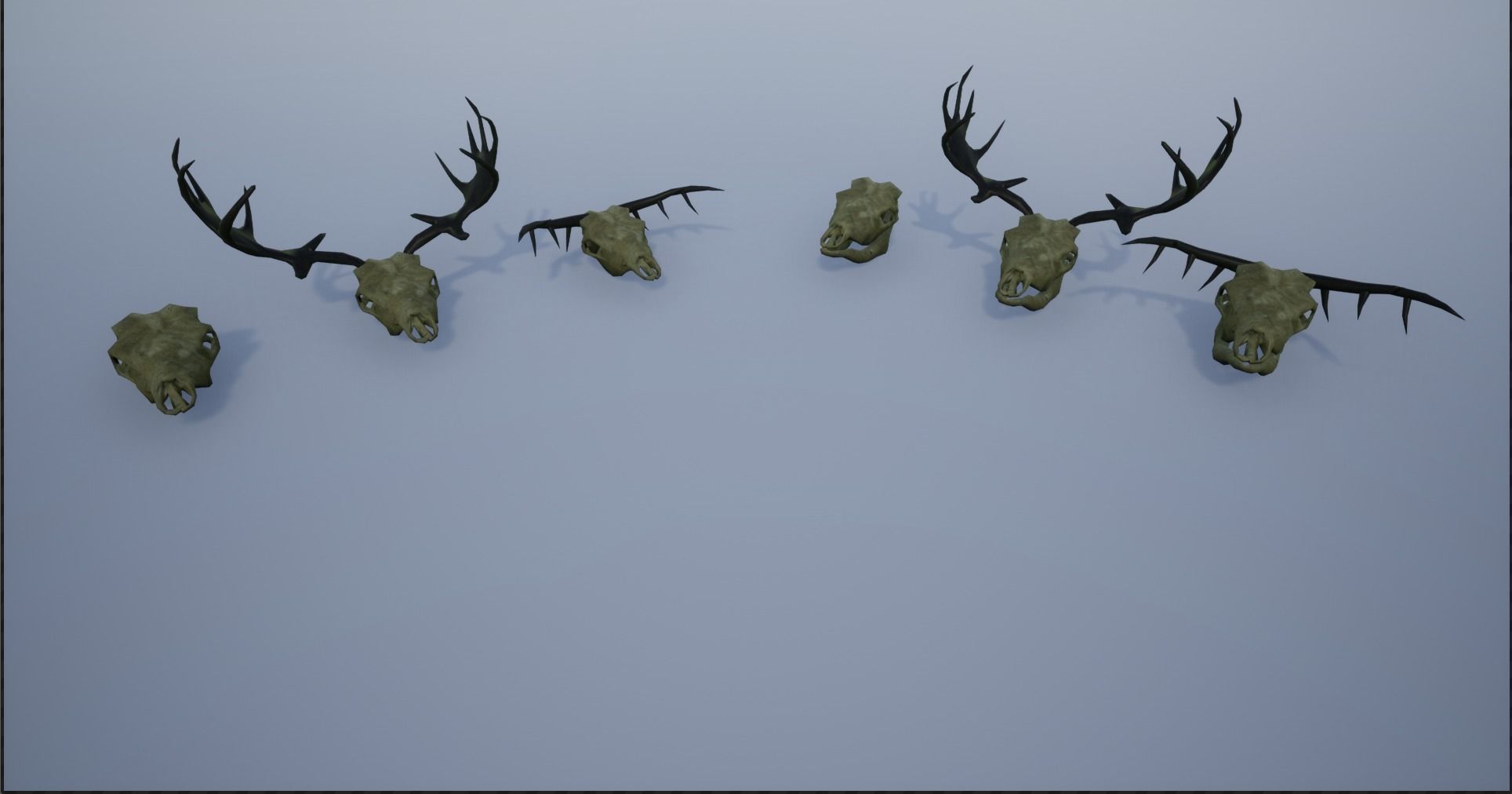 Animal Skulls and Antlers Low-poly 3D model_4