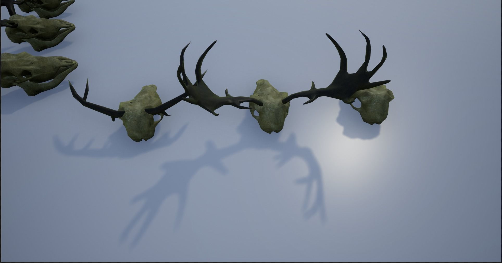 Animal Skulls and Antlers Low-poly 3D model_11